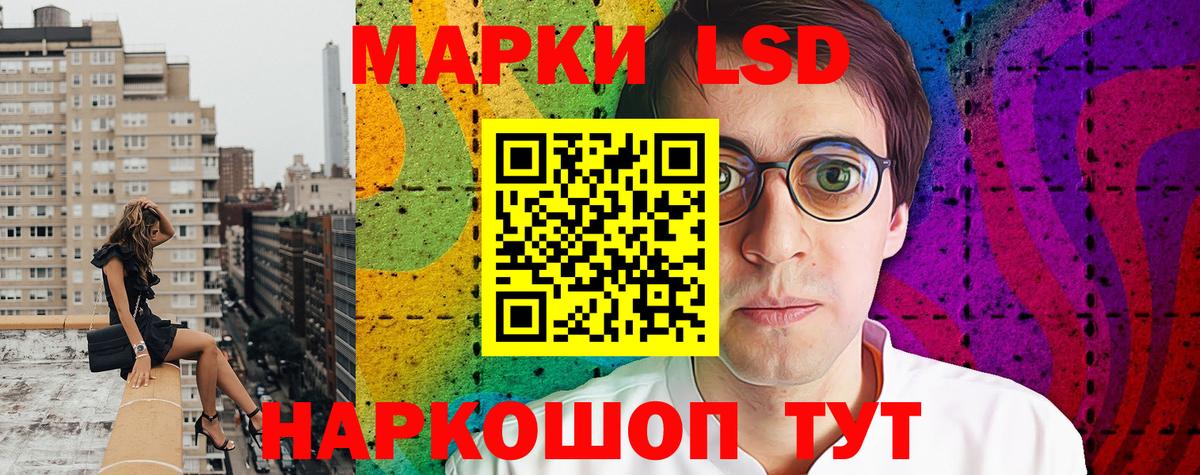Меф Курск