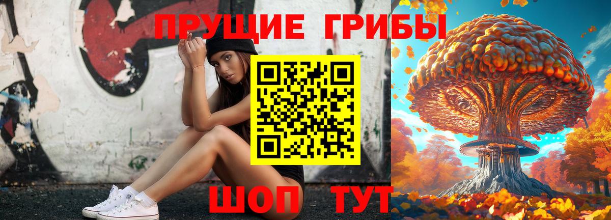 Курск  Псилоцибиновые грибы мицелий  сколько стоит  Псилоцибиновые грибы мухоморы  Вход с VPN 
