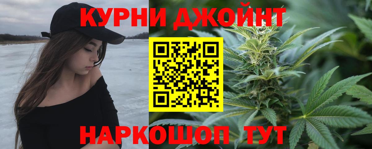Каннабис OG Kush Курск
